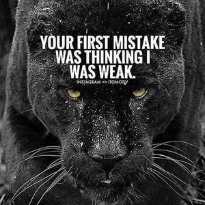 Meet your Posher, Marcus